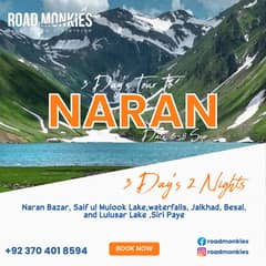 3days| Trip | Babusar| Road trip to Naran|Naran valley tour