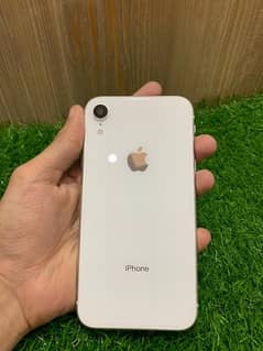 iPhone Xr Non Pta Exchange Possible