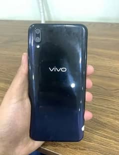 Vivo