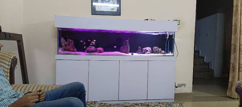 aquarium for fish 0