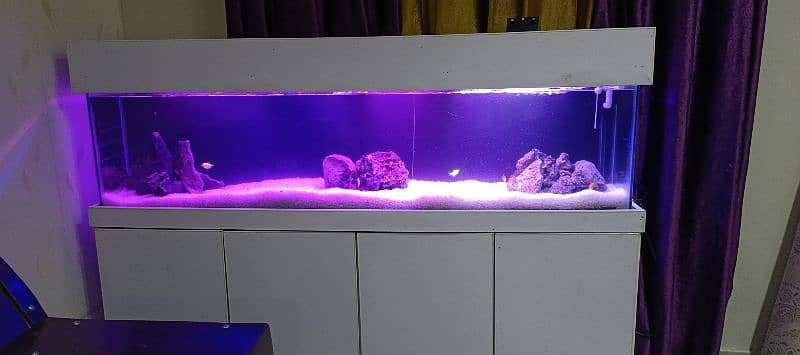 aquarium for fish 1