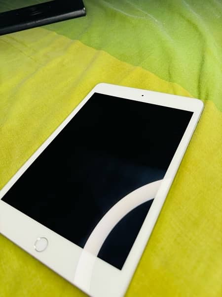 ipad mini 5 256gb 4