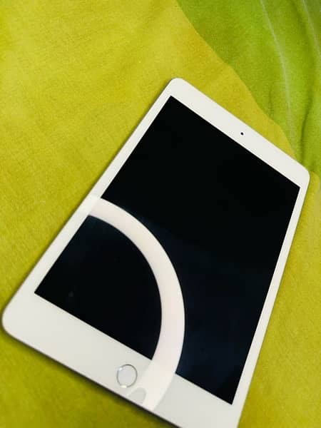 ipad mini 5 256gb 5