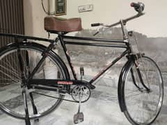 Original Sohrab Cycle 22000 0