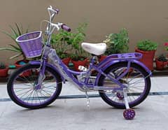 Cycle (full size) with basket purple colour