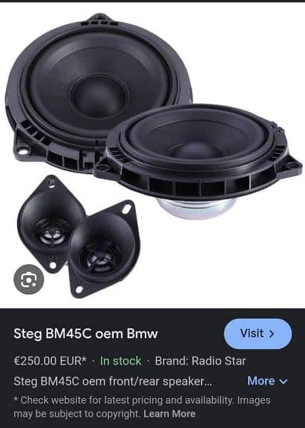 BMW speaker 0