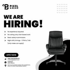 Sales Executive