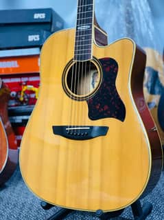 Strinberg SD-20C acoustic guitar ( Original Guitar )