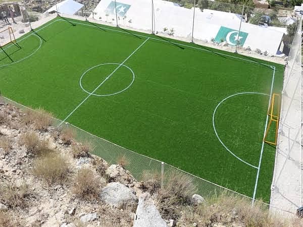 Artificial grass / Astro turf / Synthetic grass / Grass 5