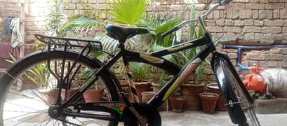 26 inch cycle for sale delivery available  bit discount available for 0