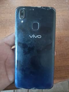 vivo