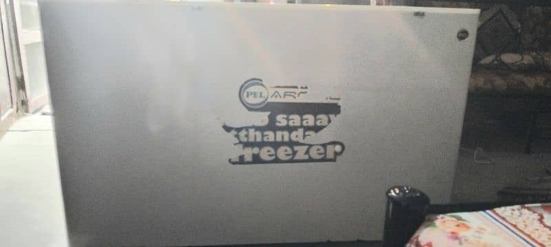 2 Door Pel Deep Freezer (Freezer + Refrigerator) 5