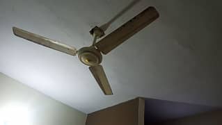 urgent sale ceiling fan 3500 0