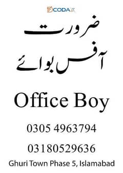 we need an office boy