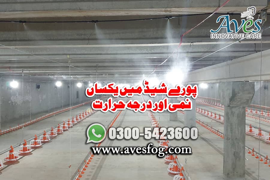 mist spray/mist system for poultry/Poultry shed humidty/fog system 0