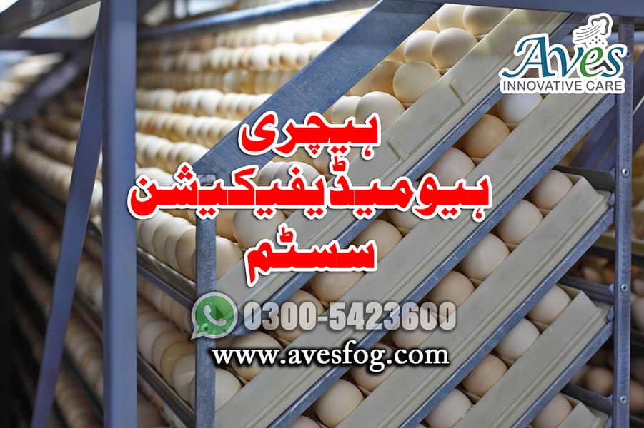 How to increase RH in Poultry Shed/fog wala system/humidity in poultry 6