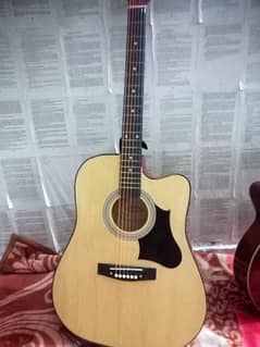 Acoustic Guitar