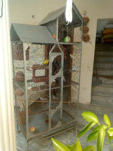 Cage,pinjara for Sale beautiful design iron made. 2