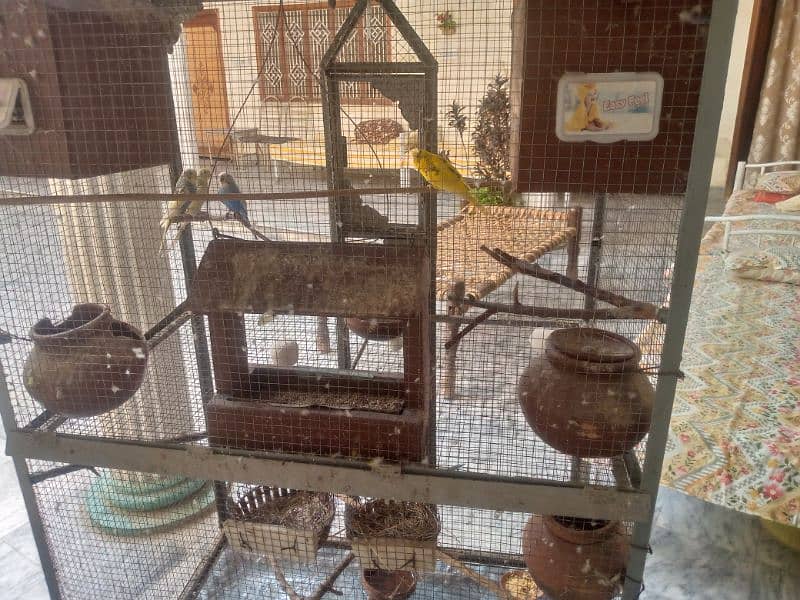 Cage,pinjara for Sale beautiful design iron made. 13