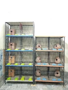 Birds Cage