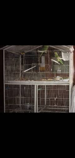 parrot cage sale box and matki also