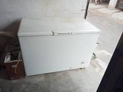 Large Size Freezer in Excellent Condition