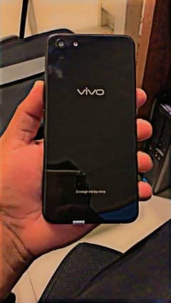 vivo