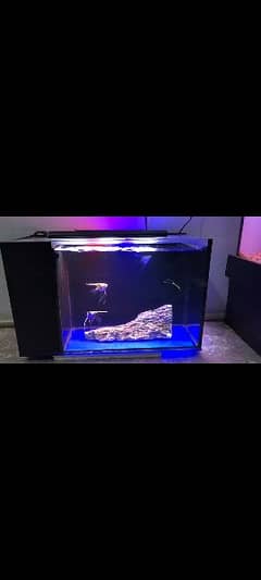 Nano Aquarium with Internal Sump