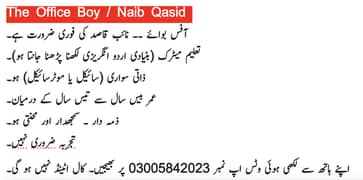 OFFICE BOY / NAIB QASID