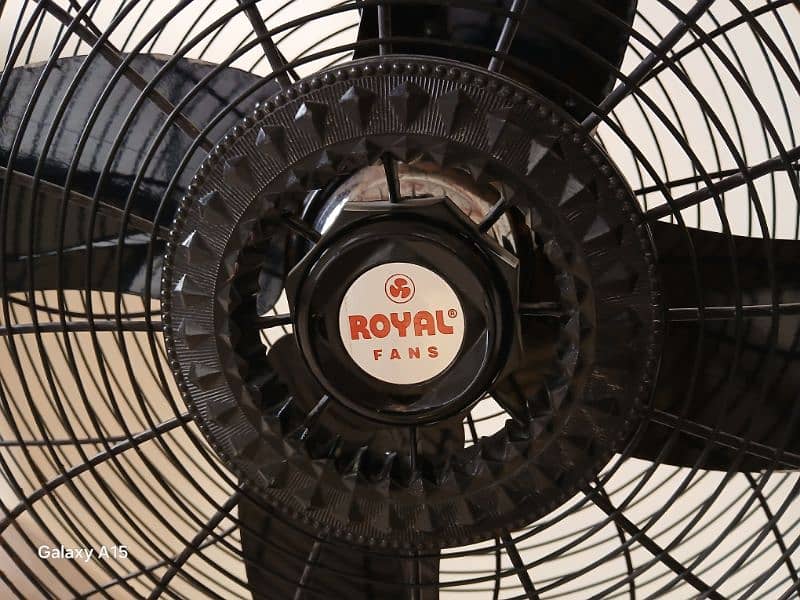 Royal pedestal fan 24' new 0