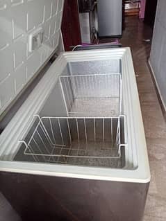 PEL DEEP FREEZER FOR SALE CONDITION 10/9