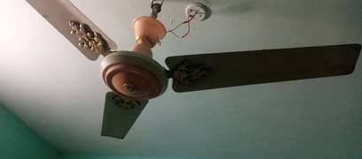 Royal fan with pure copper wiring