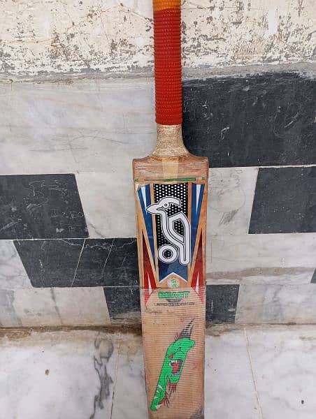 cricket kit hard ball for sale 7