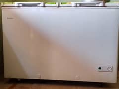 Haier Refrigerator & Freezer