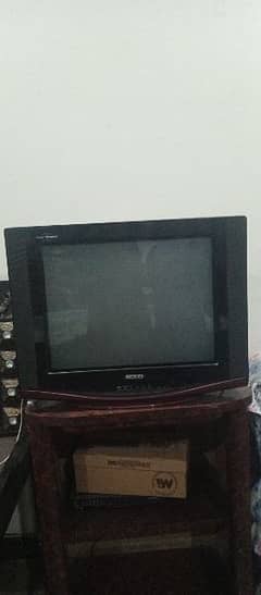 Television