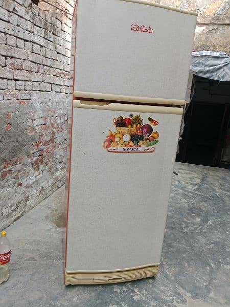 pel full size refrigerator 6