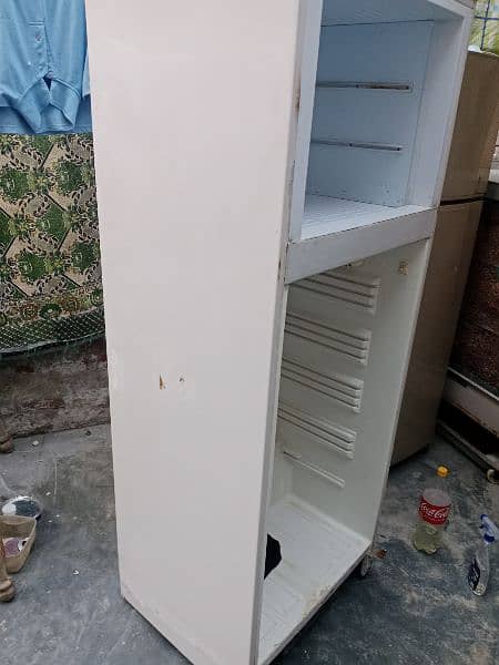 pel full size refrigerator 11