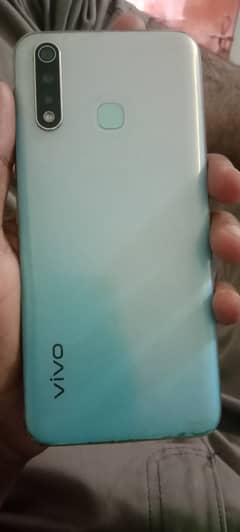 Vivo