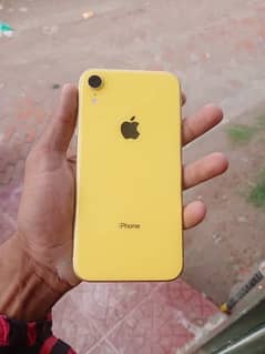 IPhone xr jv 10/10 Coundition all ok