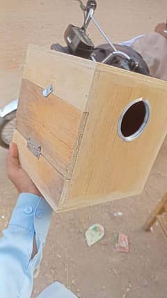 love Birds box