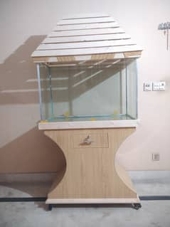 Fish Aquarium