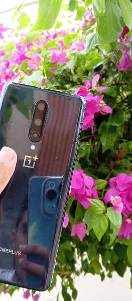 OnePlus 8 12GB + 256GB Dual SIM Global 1