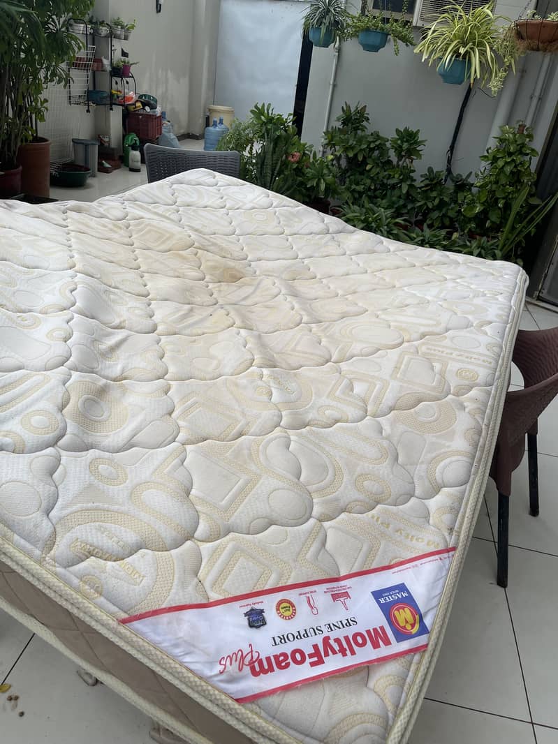 Molty foam mattress double 1