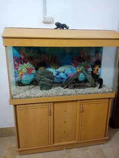 4 fit aquarium