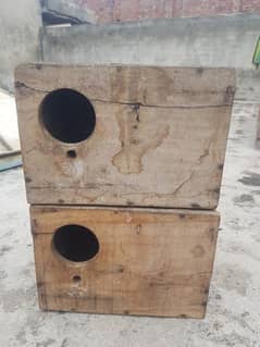 Parrot Nesting/Breeding Box