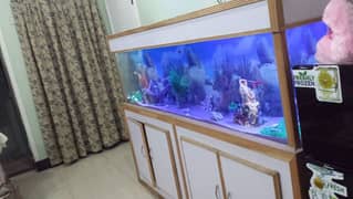 Fish Aquarium For sale