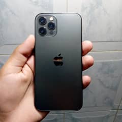 iPhone 12 pro [256GB]