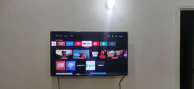 TCL LED