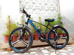 Mountain bike