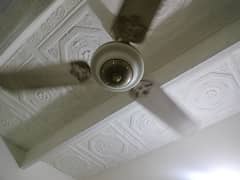 celling fan